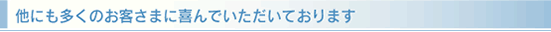���q�l�̐�