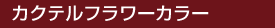 �J�N�e���t�����[